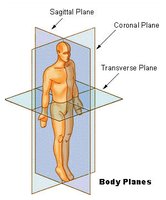 Body planes: sagittal, coronal, transverse