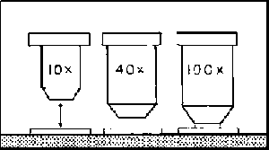 Objective lenses with different magnifications and working distances