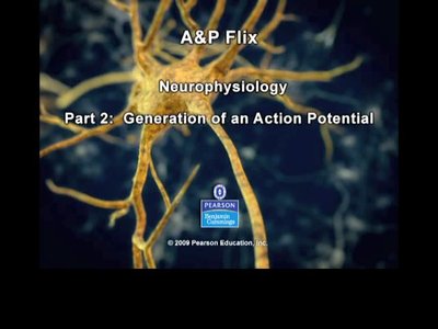 Action potential video screenshot