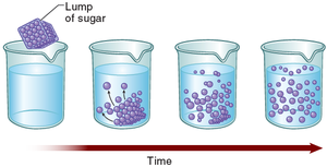 Diffusion of sugar in water over time