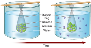 Dialysis process