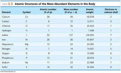 Table of atomic structures of most abundant elements in the body