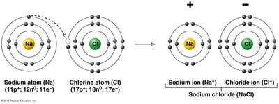 Ionic bond formation: sodium and chlorine