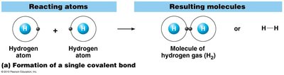 Formation of a single covalent bond: hydrogen