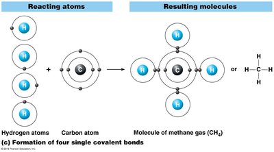Formation of four single covalent bonds: methane