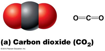 Carbon dioxide molecule (nonpolar covalent bond)