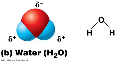 Water molecule (polar covalent bond)