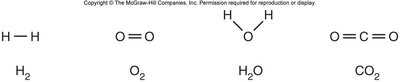 Structural formulas for H2, O2, H2O, CO2
