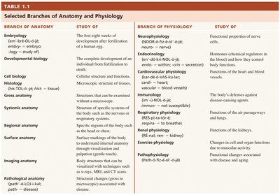 Levels of Structural Organization and Body Systems