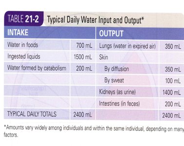 Table of typical daily water input and output