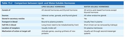 Comparison between lipid- and water-soluble hormones