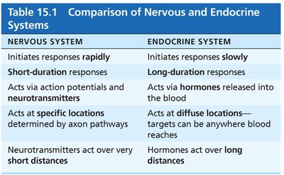Comparison of nervous and endocrine systems