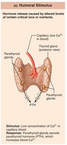 Humoral stimulus for hormone release