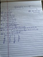 Handwritten diagram of adaptive immunity