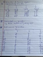 Handwritten notes on immune disorders