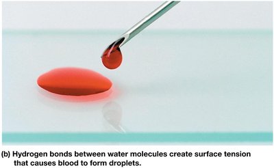 Surface tension of water