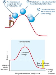 Activation energy in a chemical reaction