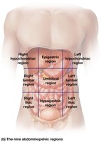 Abdominopelvic regions