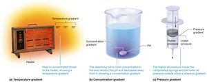 Examples of gradients