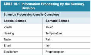 Table of special and somatic senses
