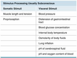 Table of subconscious somatic and visceral stimuli