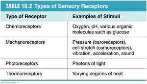 Table of sensory receptor types and stimuli