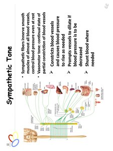 Sympathetic tone effects