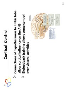 Endocrine system overview and comparison table
