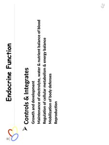 Locations of hormone production in the body