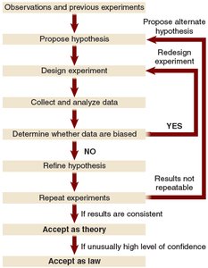 Flowchart of the scientific method