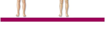 Male reproductive system