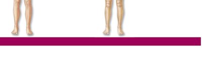 Female reproductive system