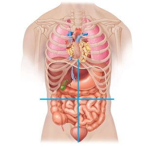 Abdominopelvic quadrants