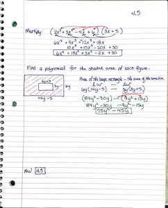 Area problem with polynomials