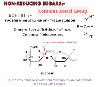 Disaccharide functions