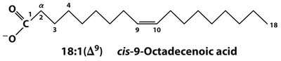 Fatty acid nomenclature example: cis-9-octadecenoic acid