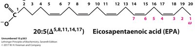 Eicosapentaenoic acid (EPA) structure and numbering