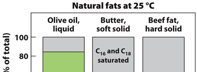 Comparison of saturated and unsaturated fatty acid packing