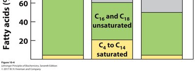 Packing of fatty acids in membranes