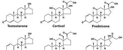 Structures of steroid hormones