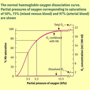 Hemoglobin-oxygen dissociation curve