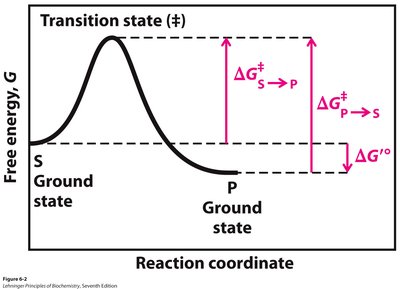 Reaction coordinate diagram