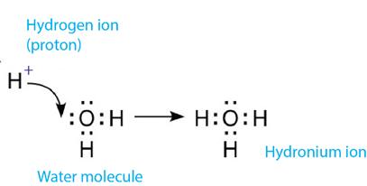 Formation of hydronium ion from water and hydrogen ion