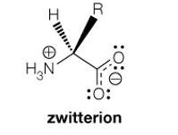 Zwitterion structure