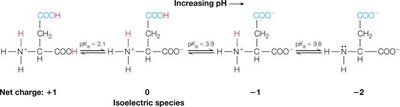 Titration of aspartic acid showing net charge changes with pH