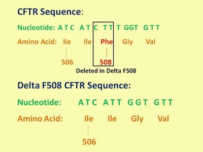 CFTR sequence mutation