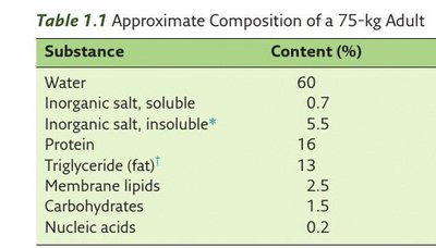 Table showing the approximate composition of a 75-kg adult, including nucleic acids