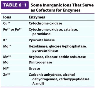 Table of inorganic ion cofactors for enzymes