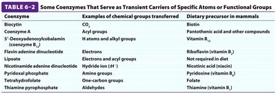 Table of coenzymes and their functions