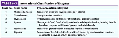 Table of enzyme classification